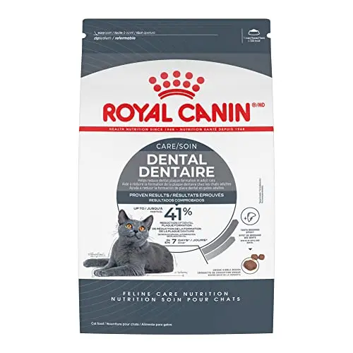 Royal Canin Feline Dental Care dry cat food in a 6 lb bag