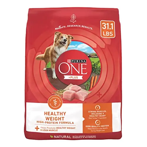 Purina ONE Plus Healthy Weight high-protein dry dog food bag