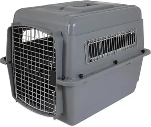 Gray Petmate Sky Kennel plastic travel dog crate
