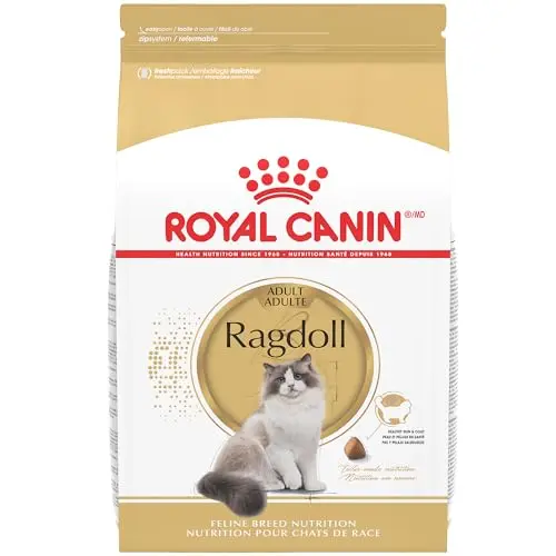 Royal Canin Ragdoll Adult Dry Cat Food bag