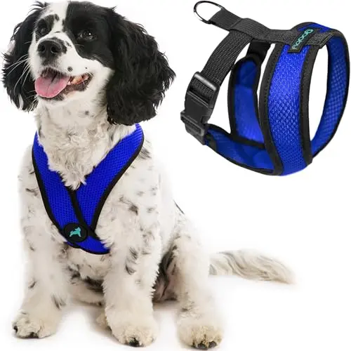 Gooby Comfort X blue head-in harness for small dogs