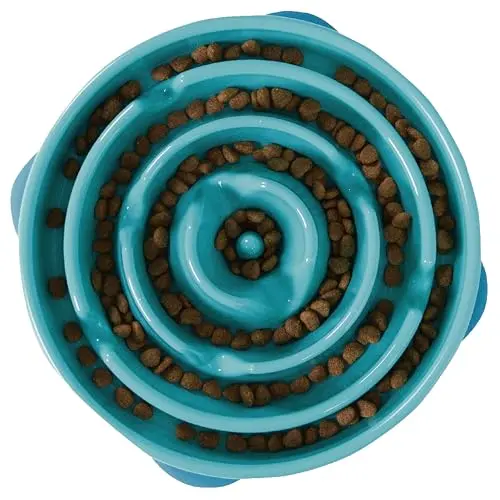 Outward Hound Large Turquoise Slow Feeder Dog Bowl with intricate maze pattern