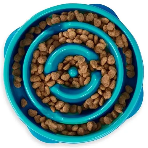 Outward Hound Medium Turquoise slow feeder bowl for small to medium dogs