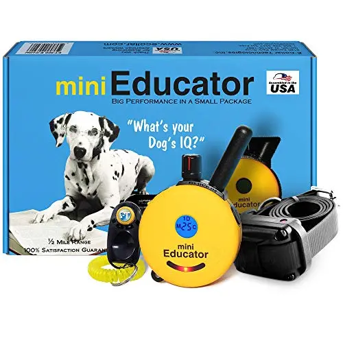 Educator ET-300 Mini Educator yellow e-collar training system with clicker