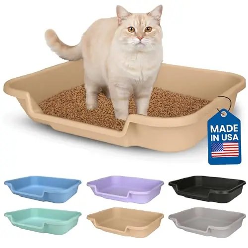 KittyGoHere large low-entry litter box for senior cats in beach sand color