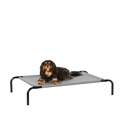 Amazon Basics grey elevated cooling dog bed with metal frame and mesh fabric