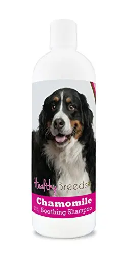 Healthy Breeds Chamomile Soothing Dog Shampoo for Bernese Mountain Dogs