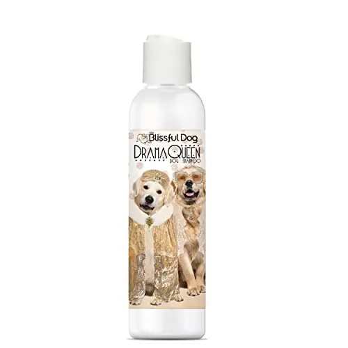 The Blissful Dog Golden Retriever Drama Queen Shampoo bottle