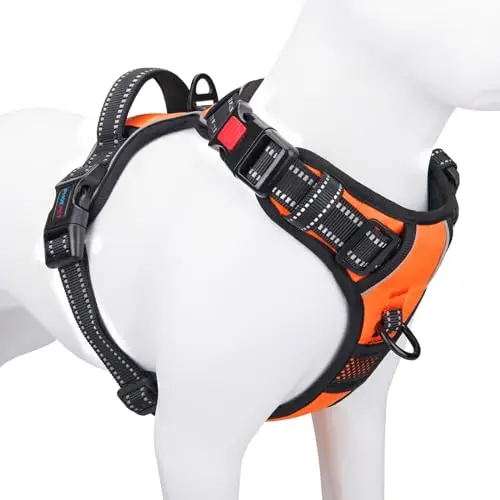 PHOEPET orange reflective dog harness with front clip on a Poodle mix