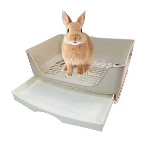 Best Litter Boxes For Rabbits - 2026 Reviews - Animal Care Unlimited ...