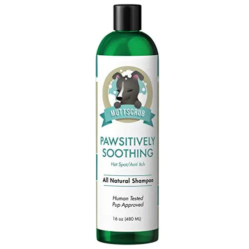 MuttScrub Pawsitively Soothing Anti Itch Shampoo for Dogs