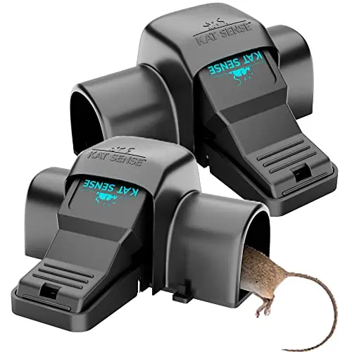 Black plastic tunnel-shaped snap trap with a cover, set of two.