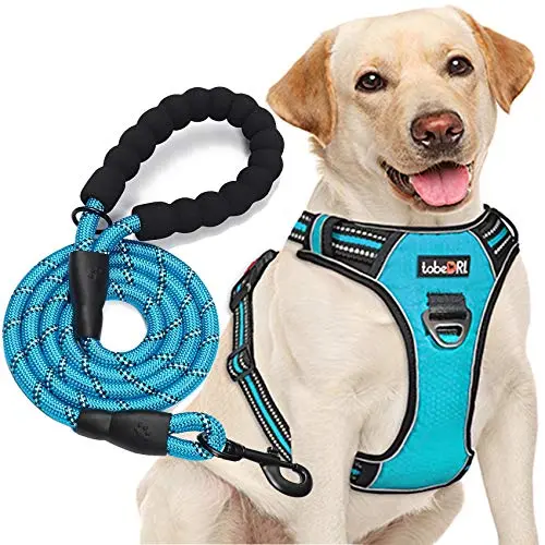 TobeDRI blue no-pull dog harness with a matching blue leash laid out flat.