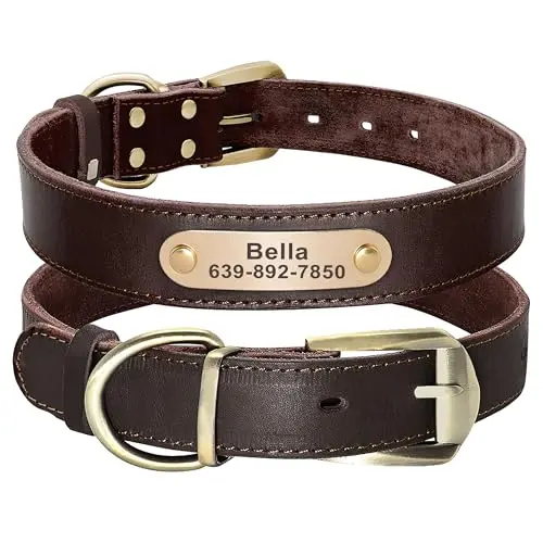 Didog brown genuine leather dog collar with engraved brass nameplate