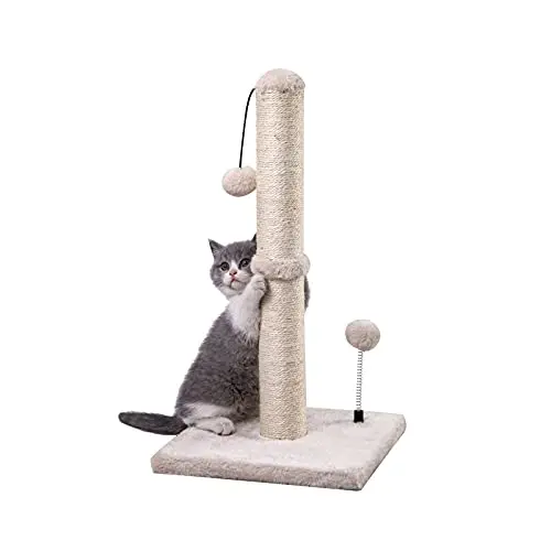 Best Scratching Posts For Cats - 2026 Reviews - Animal Care Unlimited ...