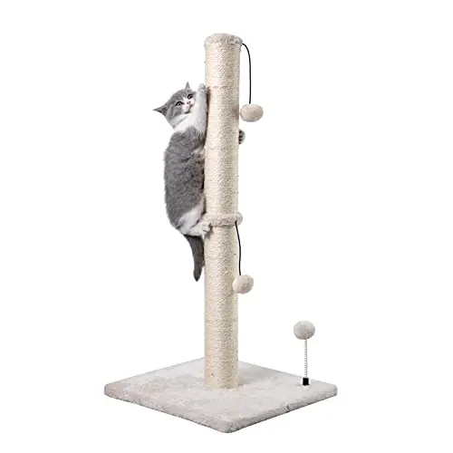 Best Scratching Posts For Cats - 2026 Reviews - Animal Care Unlimited ...