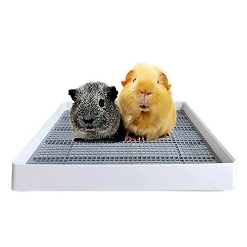 PODOO white rectangular litter box with a low front entry