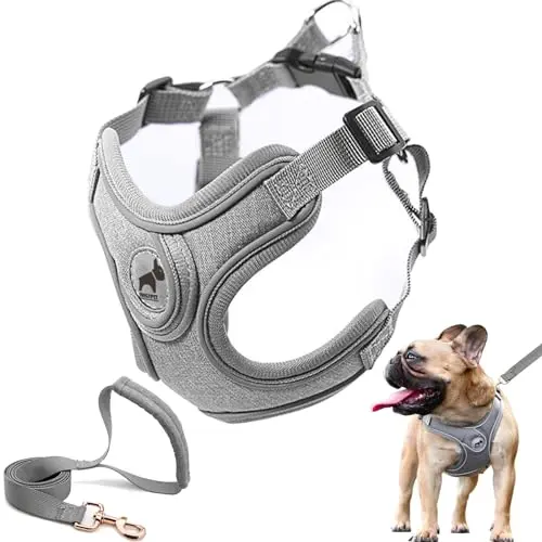 SAEGYPET dog harness and leash set in gray, designed for French Bulldogs