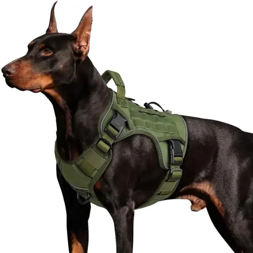 WINGOIN military style tactical harness for large dogs like German Shepherds