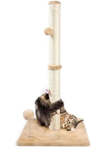 Best Cat Scratching Post For Large Cats - 2026 Reviews - Animal Care ...