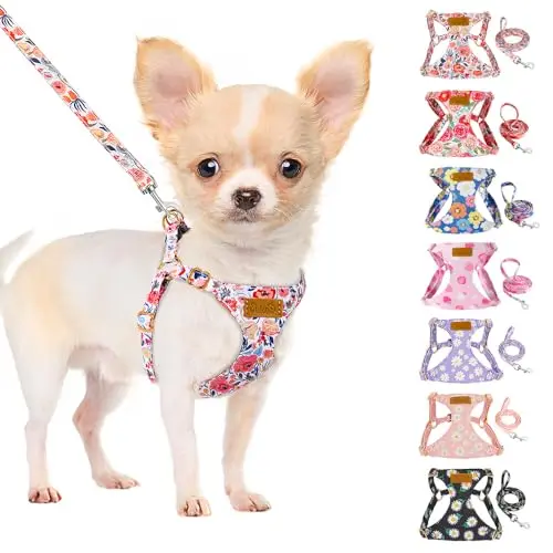 SlowTon floral pattern lightweight suede dog harness with leash for small puppies