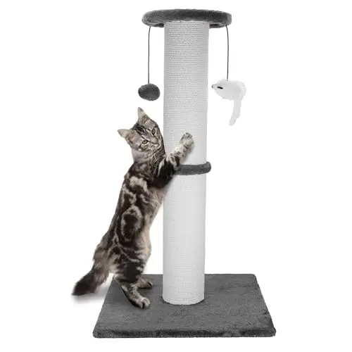 Best Cat Scratching Post For Large Cats - 2026 Reviews - Animal Care ...