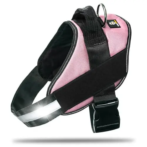 Doggykingdom pink service dog vest harness with blank velcro panels.