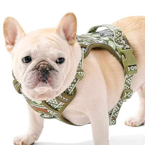 AUNZO reflective oxford dog vest harness in green ethnic pattern