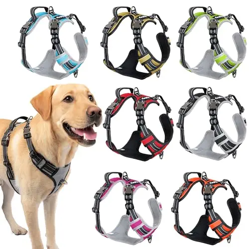 DogTraxs step-in dog harness in silver gray, showing the unique no-head-thru design.