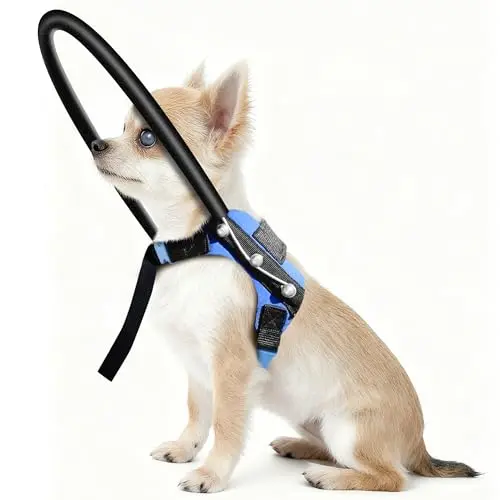 LetPetRun black halo harness for blind dogs with a protective foam ring