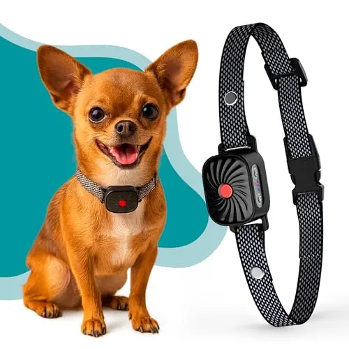 TrainTail no shock bark collar for small and medium dogs